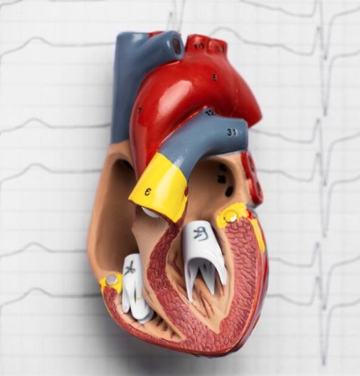 Best Cardiologist in Hyderabad for TAVR